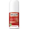 Image de POMEGRANATE 24H deo roll-on 50 ml