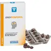 Image de Nutergia Ergyfosforyl 60 Perlas