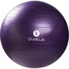 Image de Sveltus Gymball Ø75cm - Boîte de- Violet