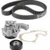 Image de Kits De Distribution Avec Pompe À Eau - Kdp452.220- Snr
