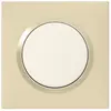 Image de Plaque simple Dooxie, LEGRAND, dune
