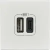 Image de Prise Double Usb Type-a + Type-c Mosaic 3a 2 Modules - Blanc - Legrand