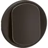 Image de Enjoliveur pour interrupteur et ou va-et-vient lumineux Céliane - Noir - LEGRAND - CN1001