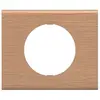 Image de Legrand CP2401, finition mate, indice de protection IP20, dimensions : 101 mm x 83 mm, quantité : 1 pièce