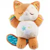 Image de Jouet musical Vtech Baby My Kitten Sweet Night