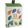Image de Gigamic, 13 cartes, jeu de cartes, à partir de 8 ans, durée : 20 minutes, 20 minutes