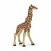 Image de Papo Wild Life Girafe Calf 50100
