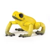 Image de Figurine de jeu Papo Grenouille jaune équatoriale