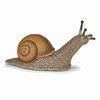 Image de Figurine de jeu Papo Escargot