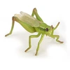 Image de Papo Wild Life Sauterelle 50268