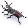 Image de Papo Wild Life Cerf volant 50281