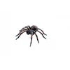 Image de Figurine de jeu Papo Araignée commune