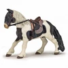 Image de Poney Saddleback