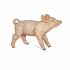 Image de Figurine de jeu Papo Porcelet femelle