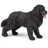 Image de Figurine de jeu Papo Terre-Neuve