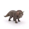 Image de Triceratops