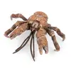 Image de Papo 56020 Figurine Crabe de cocotiers - Papo