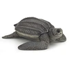 Image de Tortue luth