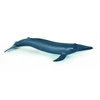 Image de Baleine bleue juvénile