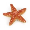 Image de Figurine de jeu Papo - Étoile de mer