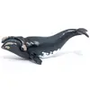 Image de Papo 56057 Baleine lisse 13 cm Animaux marins