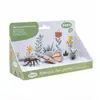 Image de Papo Wild Life Insecten Box 2 80009