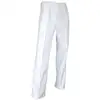 Image de Lma - Pantalon De Peintre 100% Coton - 100144 Pinceau Taille 48