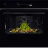 Image de Four encastrable ELECTROLUX FOE TT9PB831AB en occasion ou reconditionné