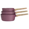 Image de Set de 3 casseroles 16-18-20 cm Gamme Forest tous feux dont induction Prune Arthur Martin AM1963