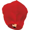 Image de Lanterne volante céleste Rouge 1m
