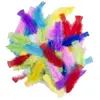 Image de Sachet de 50 Plumes de 8-12 cm en assortiment
