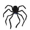 Image de AraignÃ©e grimpante animÃ©e - noir - 80 cm