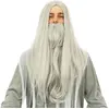 Image de Perruque et barbe mage, Gris
