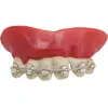 Image de Dentier appareil dentaire