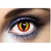 Image de Lentilles de contact annuelles (sans correction) , Diable, la paire