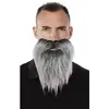 Image de Moustache et barbe raide, grise