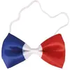 Image de Noeud papillon supporter France Bleu blanc rouge