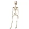 Image de Squelette Ã  suspendre - 76 cm