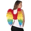 Image de Ailes d'ange en plumes 50 x 50 cm, multicolores