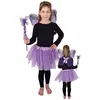 Image de Set de Papillon violet