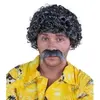 Image de Perruque et moustache LUCIEN, courte frisÃ©e, gris