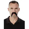 Image de Moustache mexicain, noire