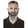 Image de Moustache et barbe collier, grise