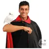 Image de Chouette Blanche de Sorcier