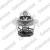 Image de Thermostat de Calorstat by Vernet avec joint (TH3328.88J) Thermostat Refroidissement