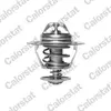 Image de CALORSTAT BY VERNET thermostat pour liquide de refroidissement TH6319.88J