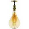 Image de Ampoule Led Géante E27 5w - Blanc Chaud - 350lm 2500k - Kit De Suspension Inclus - Zenitech