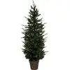 Image de Sapin en pot Helsinki 150 cm - Feeric Lights & Christmas