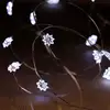 Image de Guirlande D'Intérieur Copper 20 Led - Feeric Lights & Christmas