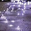 Image de Guirlande Lumineuse Extérieur 30m Blanc Froid 300 Led + Transfo - Feeric Lights & Christmas